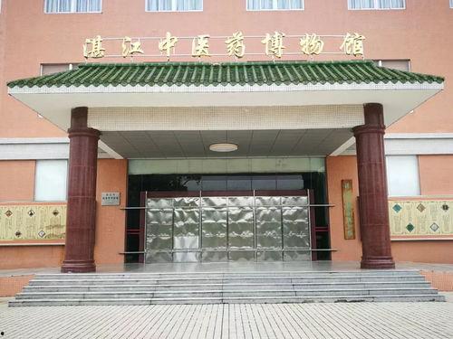 湛江中医吃瓜,吃瓜养生，古法新解健康生活之道